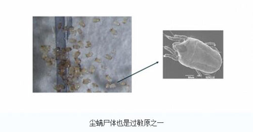 如何评价高性能净化器？三高一低远不够