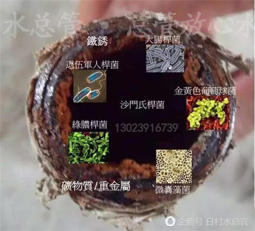 自来水管藏污垢 定期清洗很重要