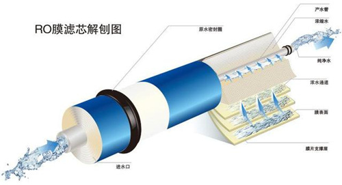 家庭饮用水的最后一道防线 净水机要怎样选？