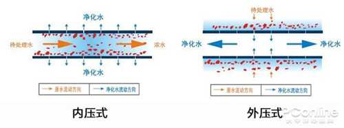 为什么女儿国的水喝了会怀孕？因为没有净水器