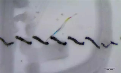 惊悚！世界上93%的瓶装水塑料颗粒超标 可能致癌