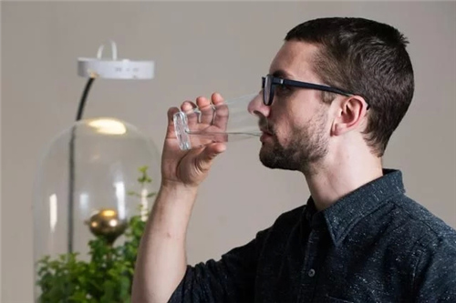 还在用净水器过滤水？我选择把亚马逊森林搬回家里