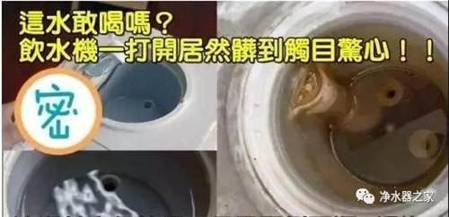 撒贝宁经典提问：自来水能喝？专家为何现场推荐净水器？