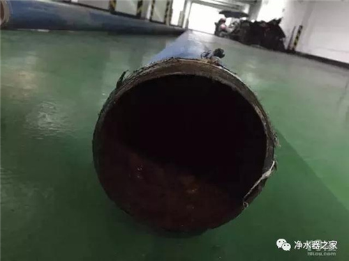 撒贝宁经典提问：自来水能喝？专家为何现场推荐净水器？