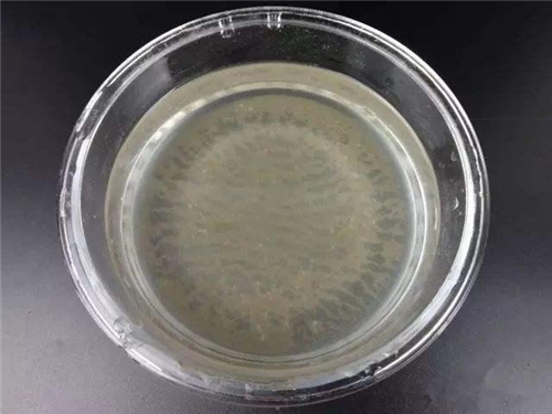 净水器常见问题及解决办法 你肯定需要知道这些