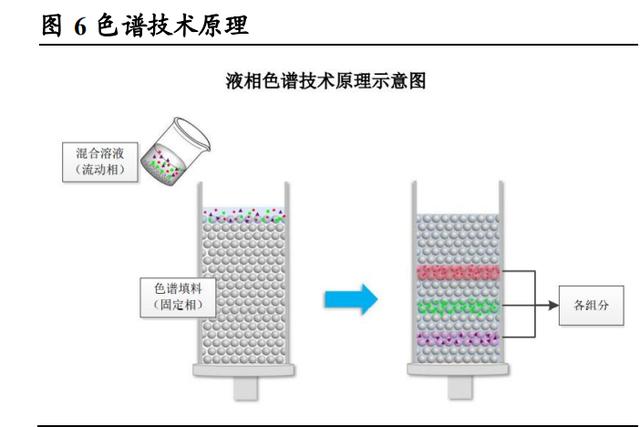 蓝晓科技研究报告：生命科学与盐湖提锂共筑成长主线