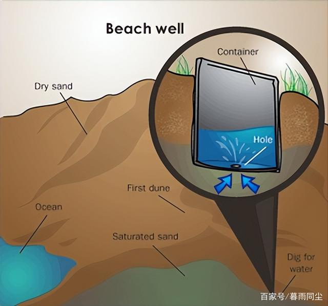 如何在荒野中寻找水源？收集水的3个必备技能以及净化水的3种方式