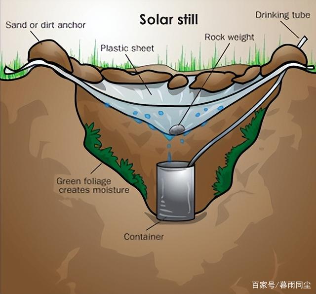 如何在荒野中寻找水源？收集水的3个必备技能以及净化水的3种方式