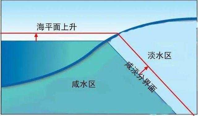 上海要停水了？市水务局回应：自来水供应正常有序