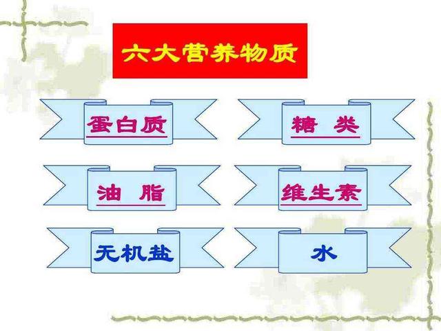 矿泉水和纯净水到底哪个更好？