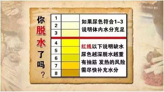 餐前喝水3个月 体重竟减4-8斤？学会这些喝水“小窍门” 不用刻意减肥也能轻松掉秤