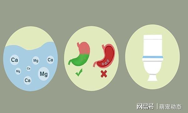 电热水壶烧水没几天就会出现白色水垢 对人的健康有危害吗？