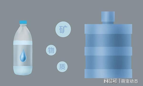 电热水壶烧水没几天就会出现白色水垢 对人的健康有危害吗？