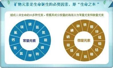 WHO《饮用纯净水的健康风险》全文翻译