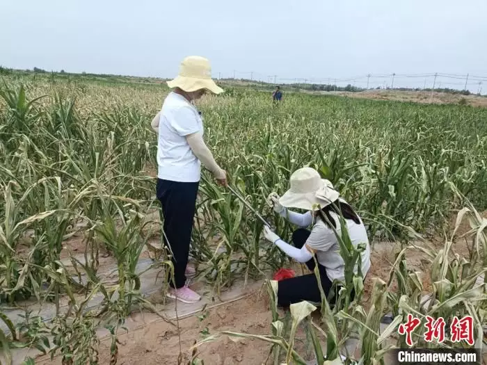 甘肃持续干旱严重影响人畜饮水和农业灌溉 多地启应急供水措施