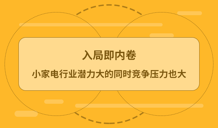 入局即内卷 小电行业潜力大的同时竞争压力也大