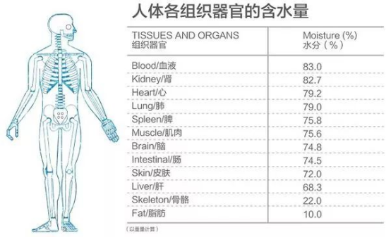 健康科普 | 如何健康饮水 你需要了解的喝水健康常识