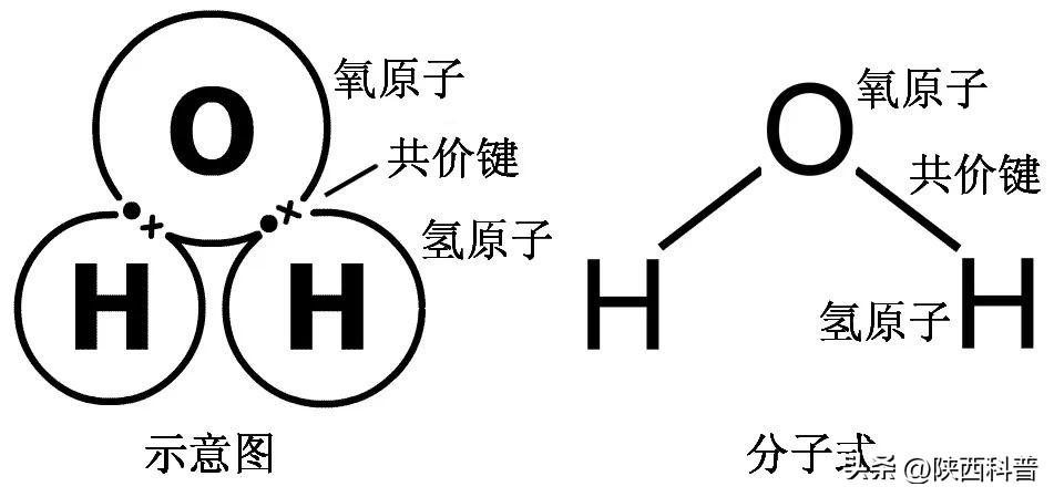 你知道吗 “水”不是一种液体 而是两种