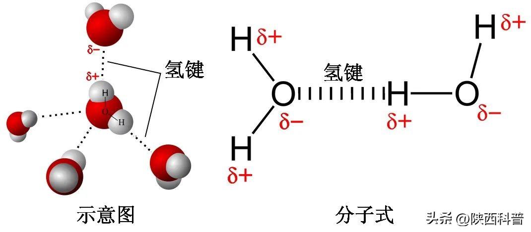 你知道吗 “水”不是一种液体 而是两种