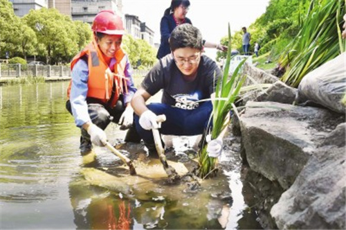 联泾港最近一年水质显著提升 “水中森林”立功