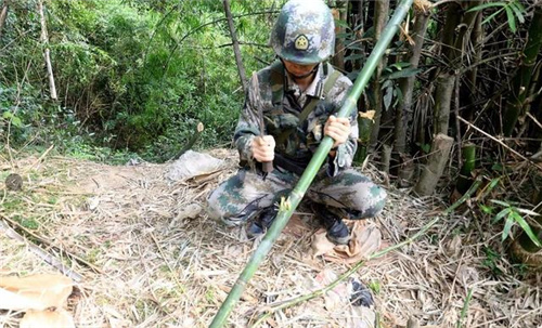 野外生存如何获取饮用水 你会几种方法呢？让兵哥哥来告诉你