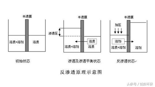 一口好水喝出健康 办公用净水器该怎么选择