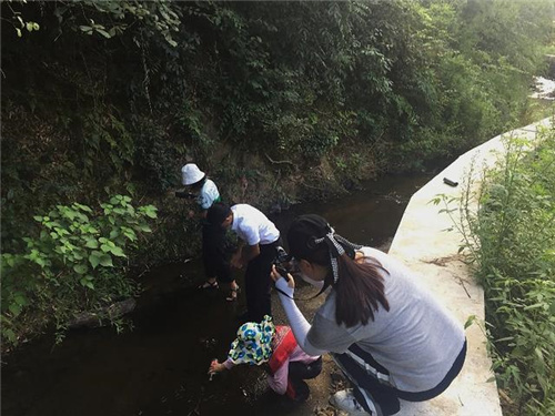 千岛湖水源保护项目开展首次流域水质调查