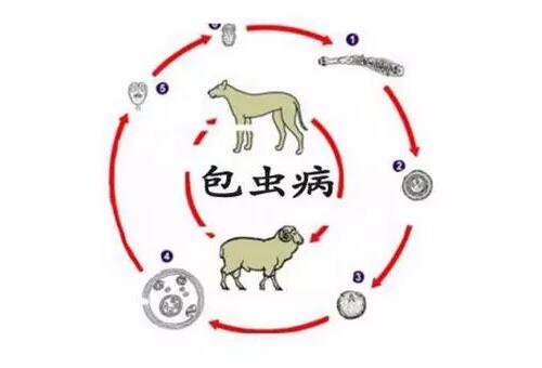 两会代表委员共同关注饮水安全