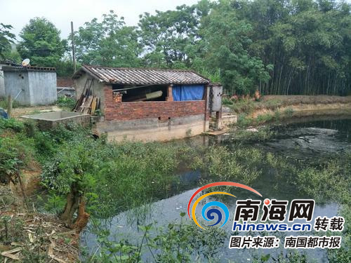 儋州百户村民守着自来水公司却喝不上自来水 为啥？