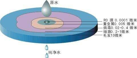 按照工作原理划分净水器有哪些类型？各自有何特点？