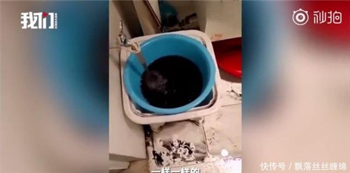 迁安一社区自来水黑如酱油 住户净水器裹一层厚泥怎么回事