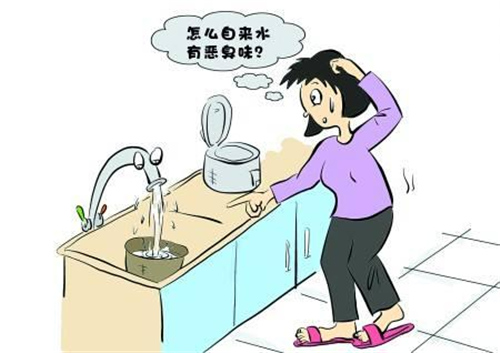 为何净水器过滤后的水有异味？是什么原因造成的？