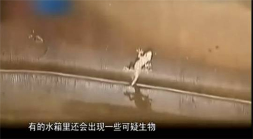 你喝的自来水真的“干净”吗？这些问题你一定不陌生！