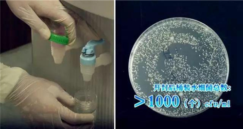 桶装水、矿泉水、纯净水、白开水……真的不一样