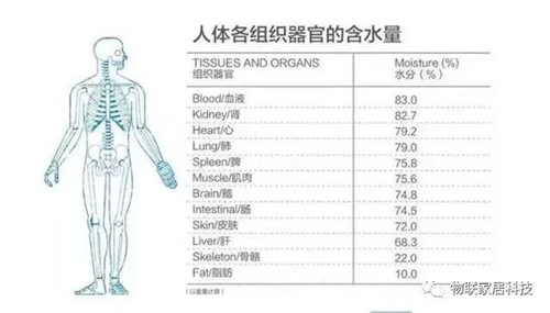 净水器、物云水机绿色健康的生活饮水方式走进千家万户