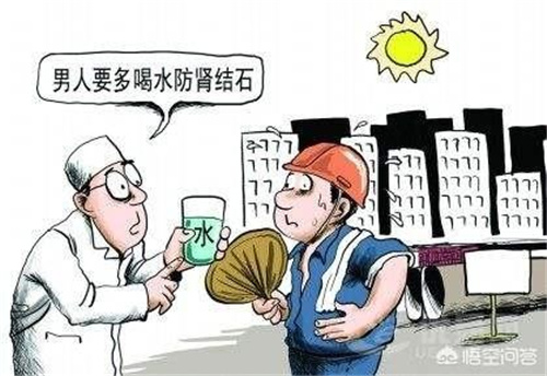 增加饮水量真的可以预防泌尿系统结石吗？