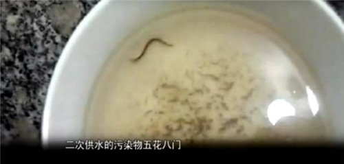 你喝的自来水真的“干净”吗？这些问题你一定不陌生！