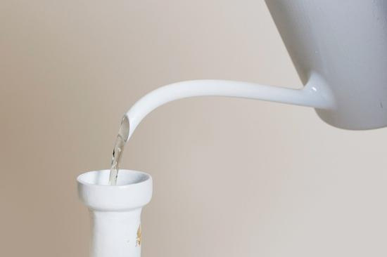 还在用净水器过滤水？ 不如把森林搬回家里
