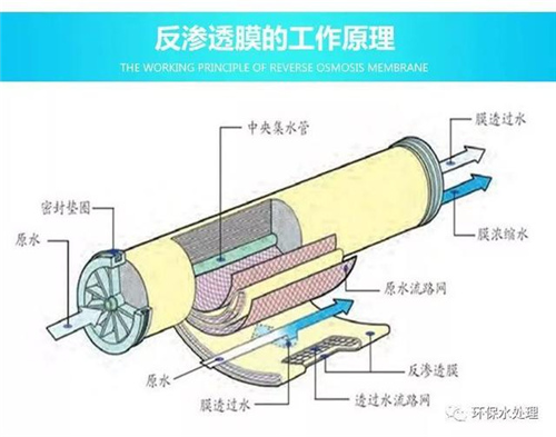 水处理之电渗析、反渗透领域精华知识