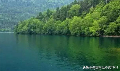 净水机百科 | 净水器不再是一个选择 而是一种趋势！