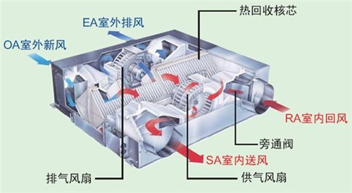 条件允许就直接上新风机 它比空净强在这里！