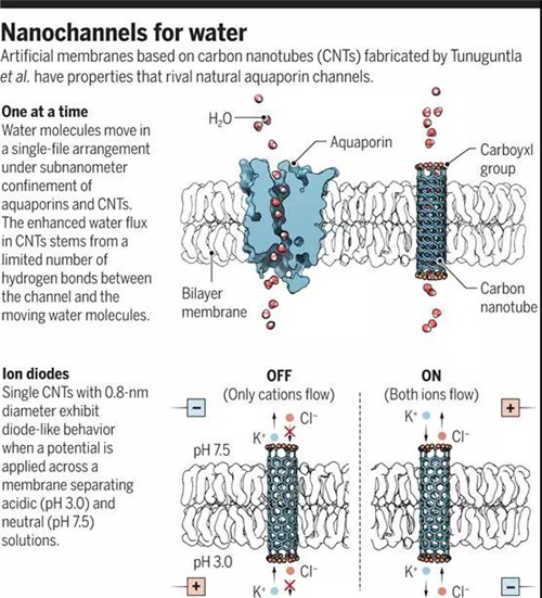 玩水玩出一篇Science 诺奖得主单原子限域通道助攻海水淡化！