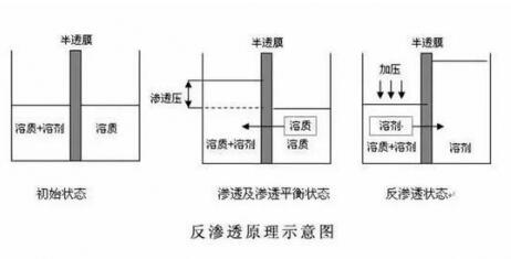 RO膜是什么？为什么说它是净水器的灵魂？