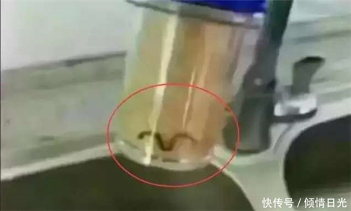净水器为身体拦截什么? 你知道多少？