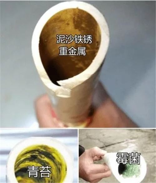 看完后再也不纠结净水器到底值不值得买