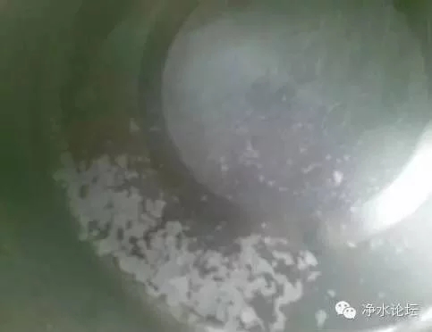 经净水机净化后的水烧开后有白色漂浮物是什么问题？