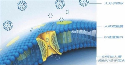 什么是小分子水 纳米小分子水净水机