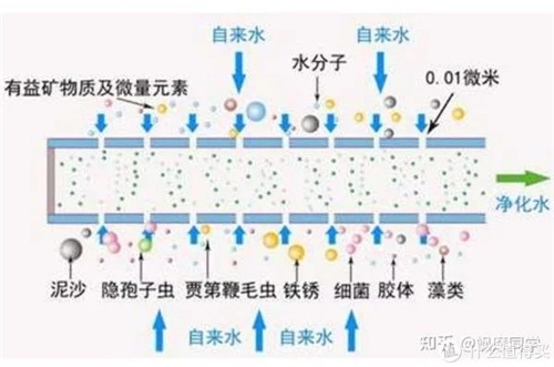 家用净水器到底可以净什么 有必要买吗？