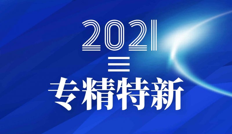 310家环境企业入选国家级“专精特新”小巨人 他们是谁？