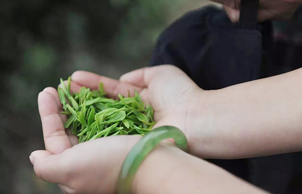 耐沃特：清明饮茶正当时 最美人间四月天